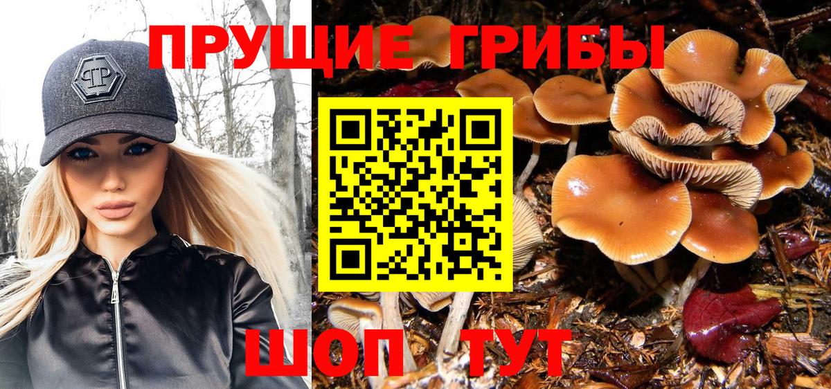 закладки  Псилоцибиновые грибы мухоморы  Вход с VPN  Топки 